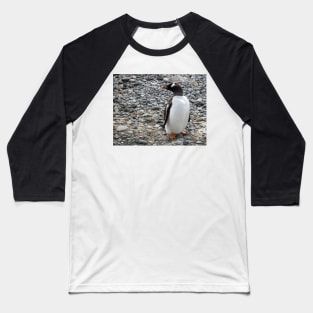 Gentoo penguin on the beach at Brown Bluff Baseball T-Shirt